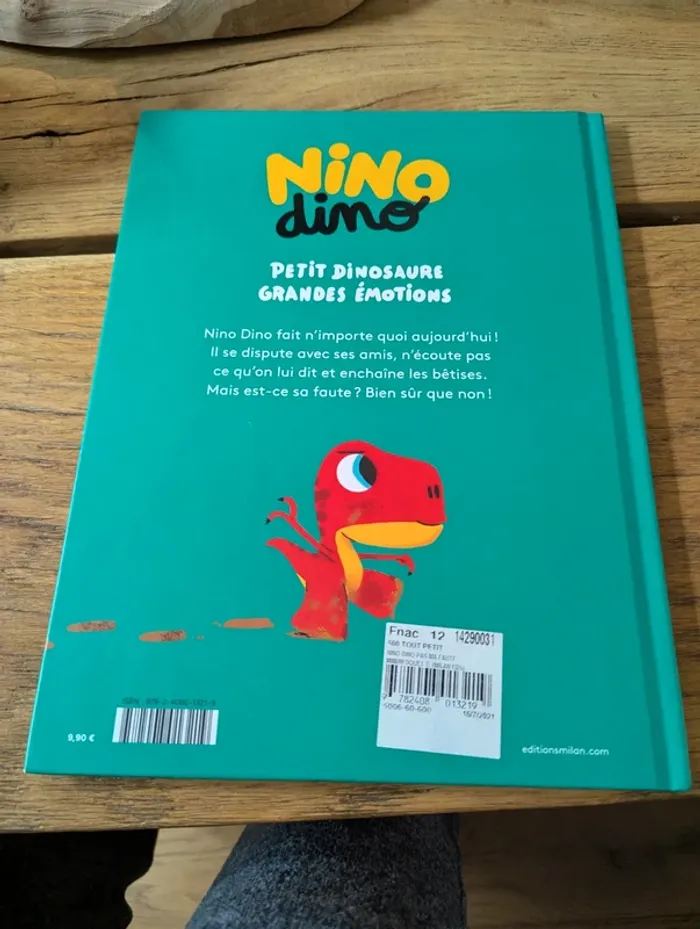 Nino dino, pas ma faute ! - photo numéro 2