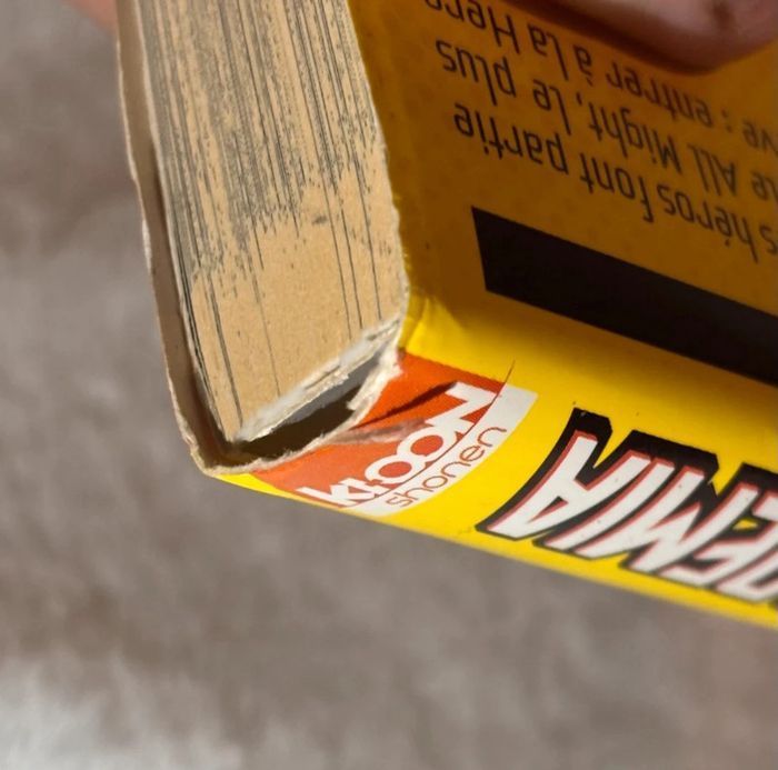 My Hero Academia Tome 1 (Manga) - photo numéro 4