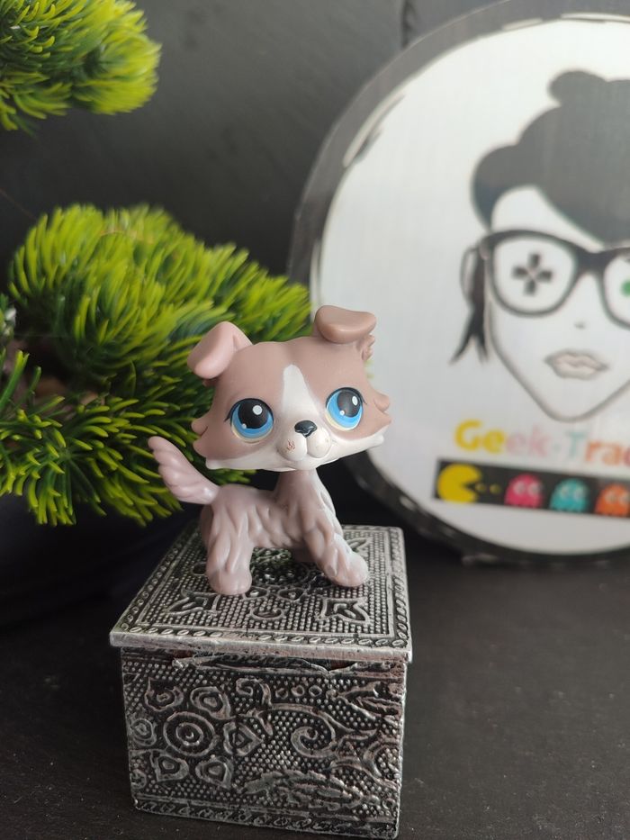 My Littlest Petshop Pet Shop LPS Authentic Authentique Dog Collie Colley 67