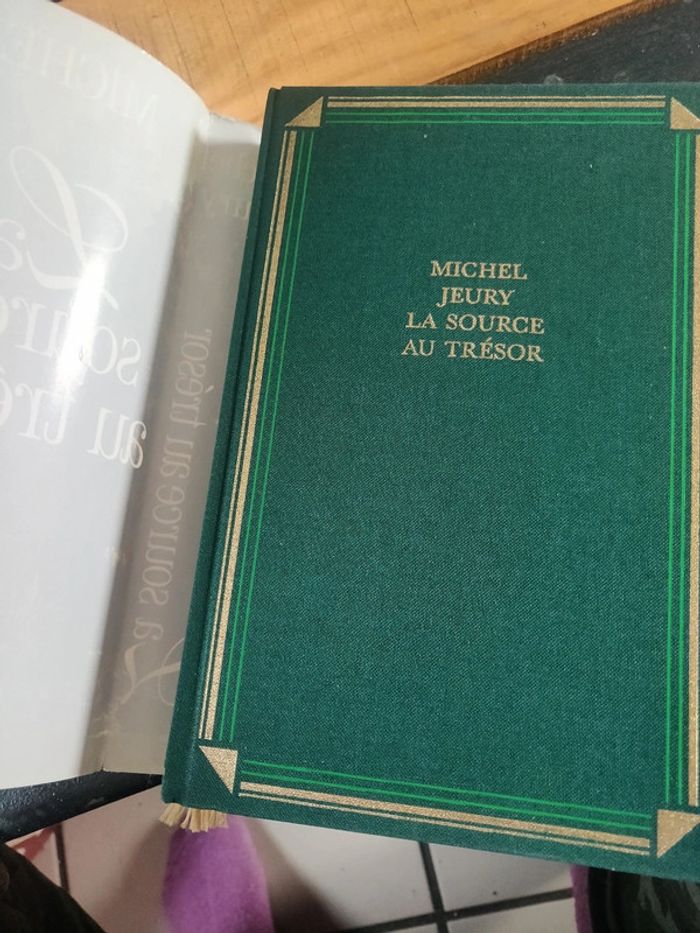 La source au trésor De Michel Jeury - photo numéro 10
