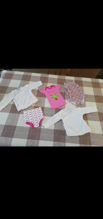 Lot 5 pièces avec body ts culottes 12 mois
