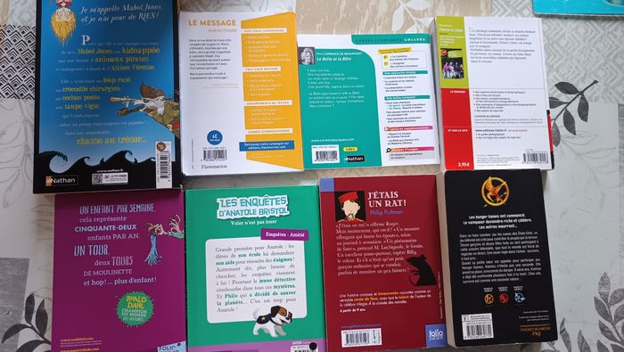 Livre collège lycee 3 - photo numéro 2