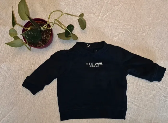 🌸 Pull 🌸