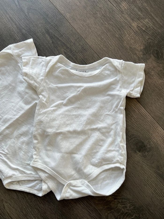 Bodies blancs - photo numéro 2