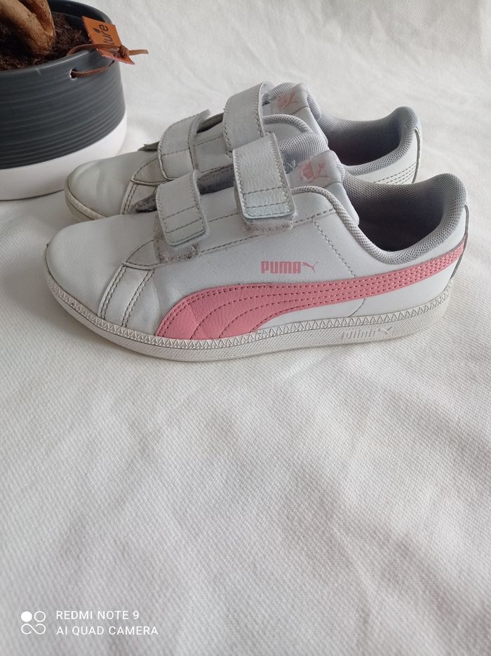 Puma à scratch - photo numéro 2