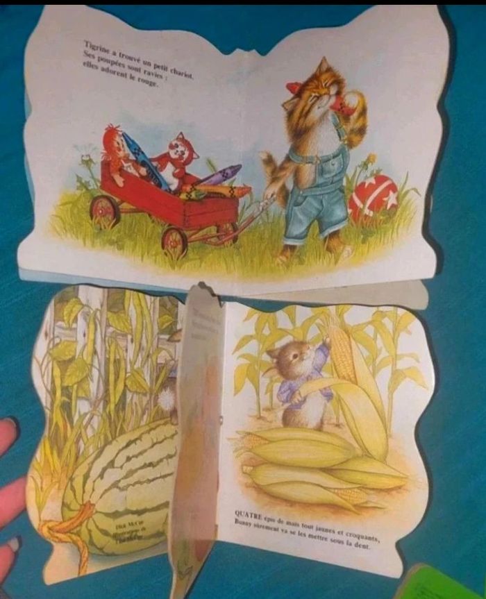 Lot de 4 livres pour enfant - photo numéro 5