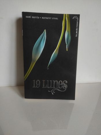 Livre bit lit 19 lunes