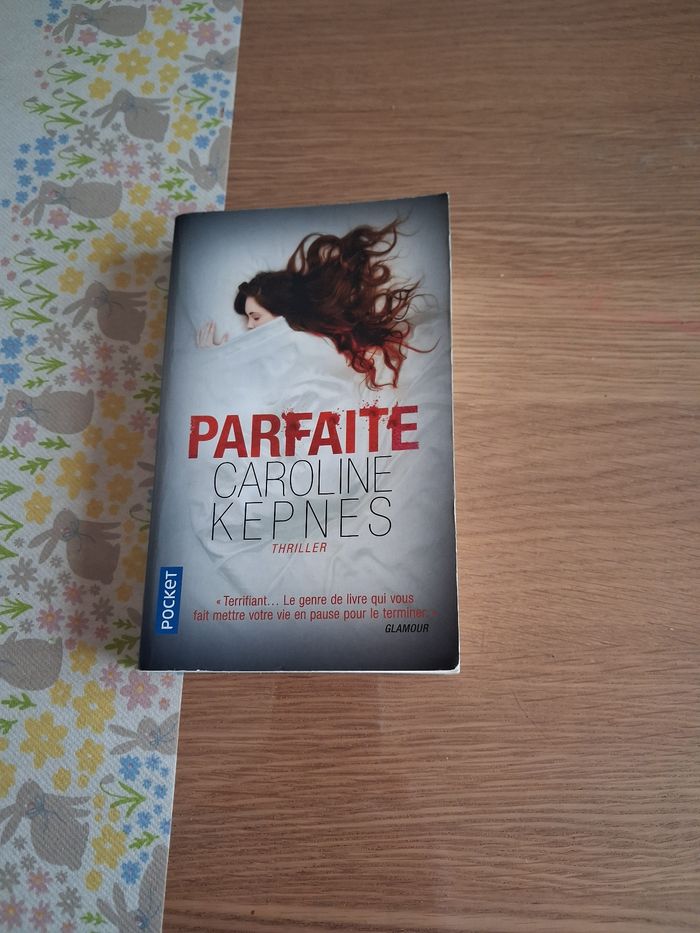 Livre Parfaite - photo numéro 1