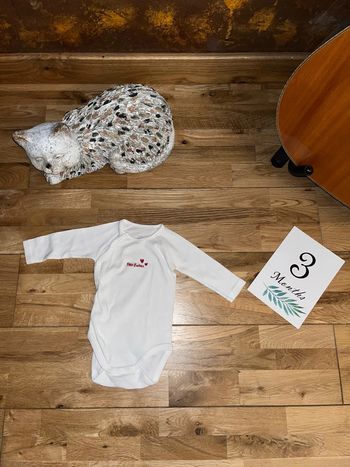 Bodie blanc écrit rouge croisé mixte petit bateau très bon état 3 mois/60 cm