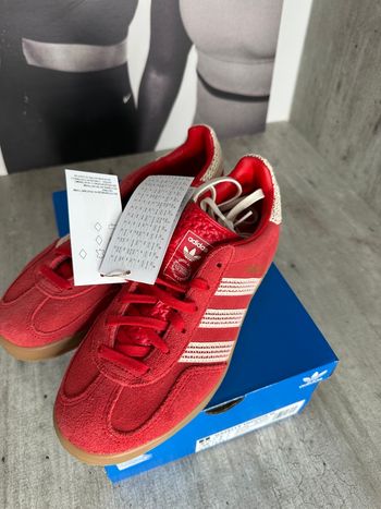 Adidas Gazelle indoor rouge wonder white