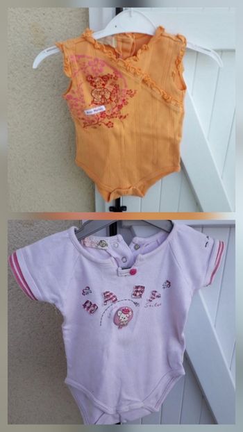 lot de 2 bodys bb filles taille 12 mois 