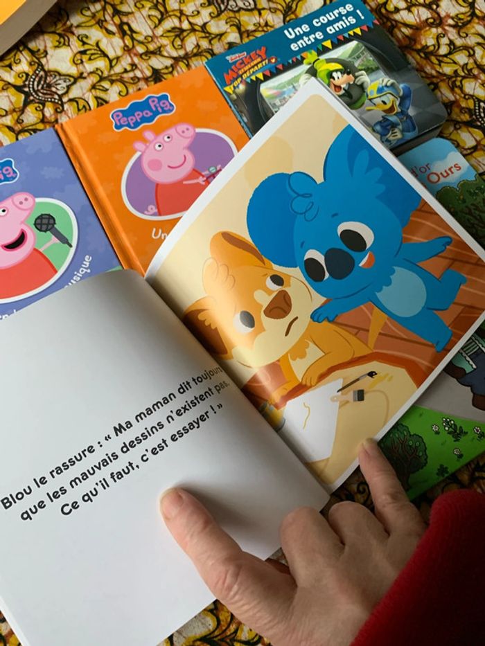 Lot livres enfants - photo numéro 7