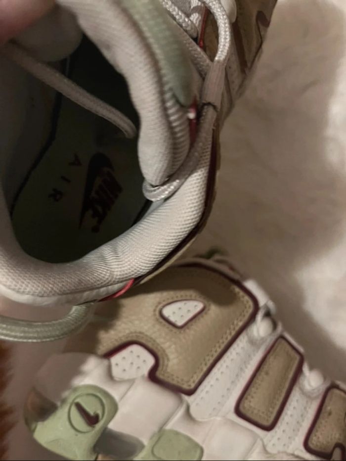 Uptempo light bone Alligator - photo numéro 5