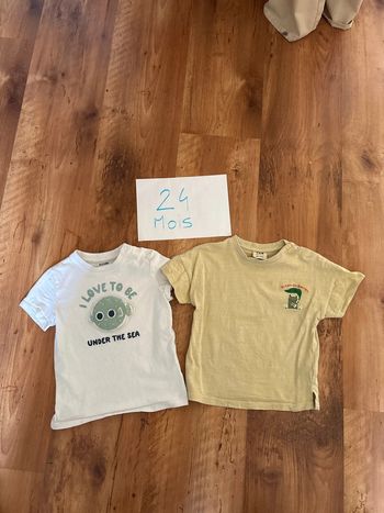 Lot de 2 tshirts manches courtes 24 mois