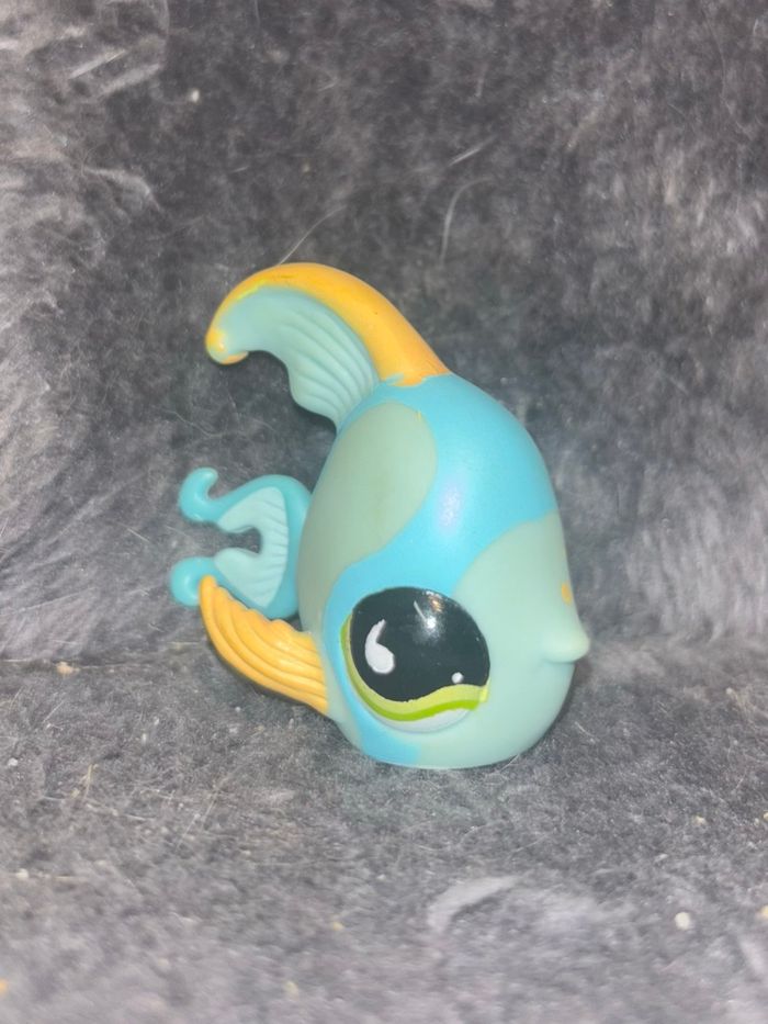 angelfish #831 - photo numéro 2