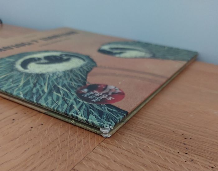 Koulkoul & Molokoloch - l'école des loisirs - photo numéro 5