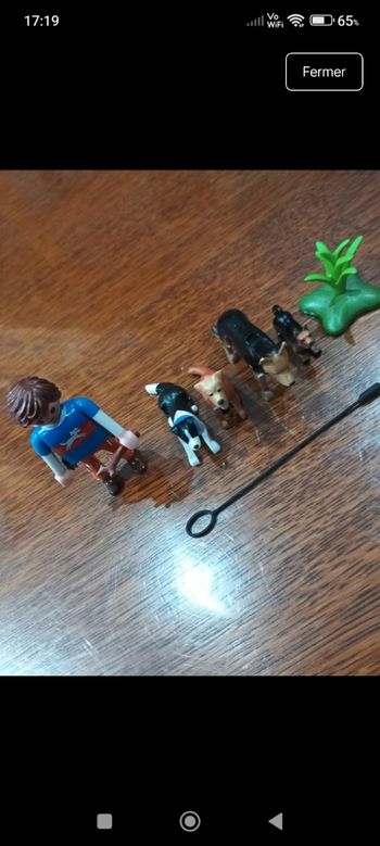 Entraineur et chiens playmobil 