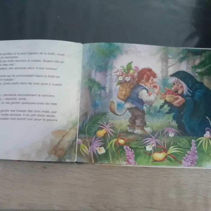 livre le troll et la sorcière - photo numéro 2