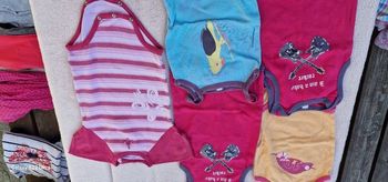 Lot bodies manche courte