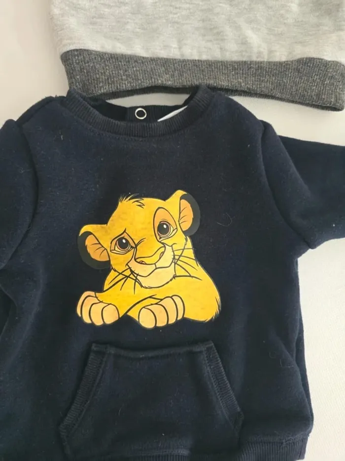 Lot de 2 sweats - photo numéro 2