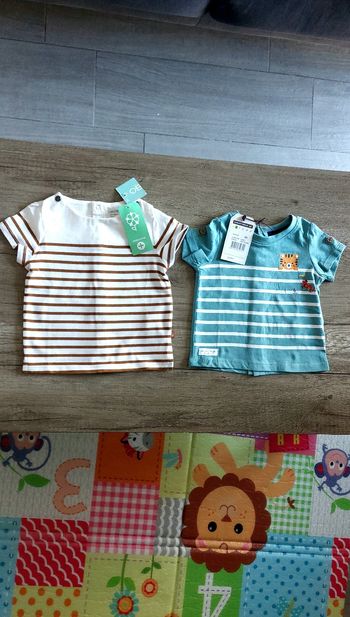 Lot 2 Tee-shirts neufs