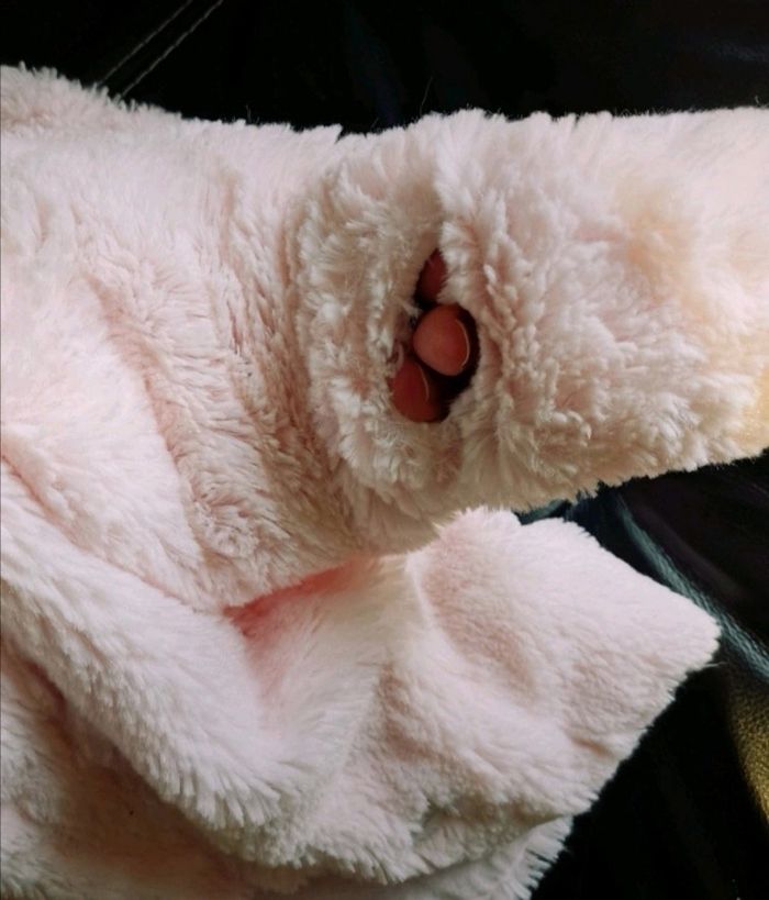 Manteau - photo numéro 2