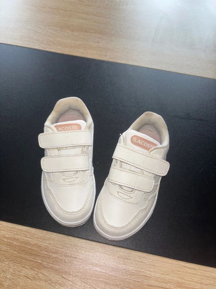 Basket Lacoste