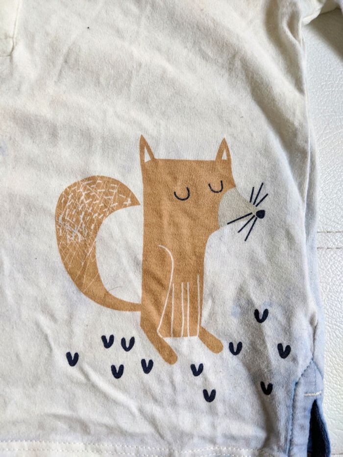 Tee shirt chien et polo renard - photo numéro 3