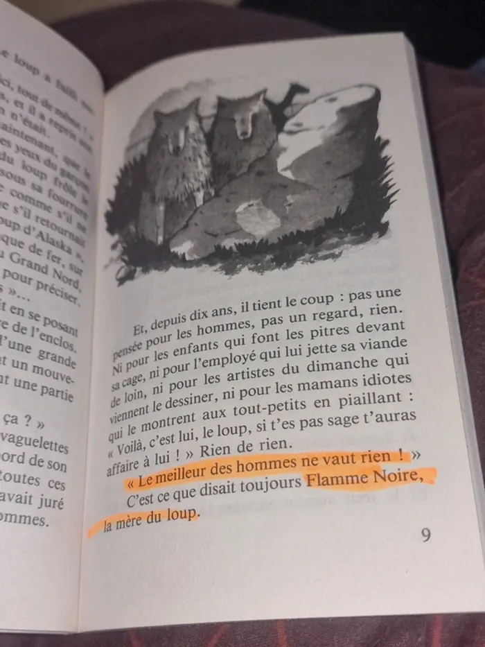 Livre L'œil du loup - photo numéro 3