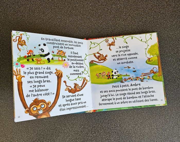 Livre petit panda - photo numéro 2