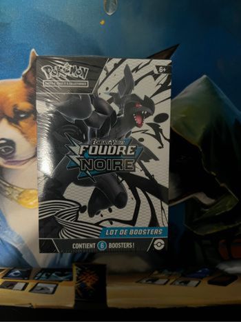 Bundle Pokémon noir