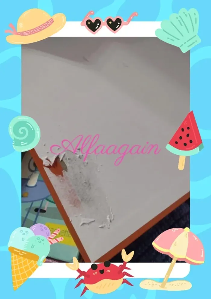 Lot livres enfants ourson - photo numéro 14