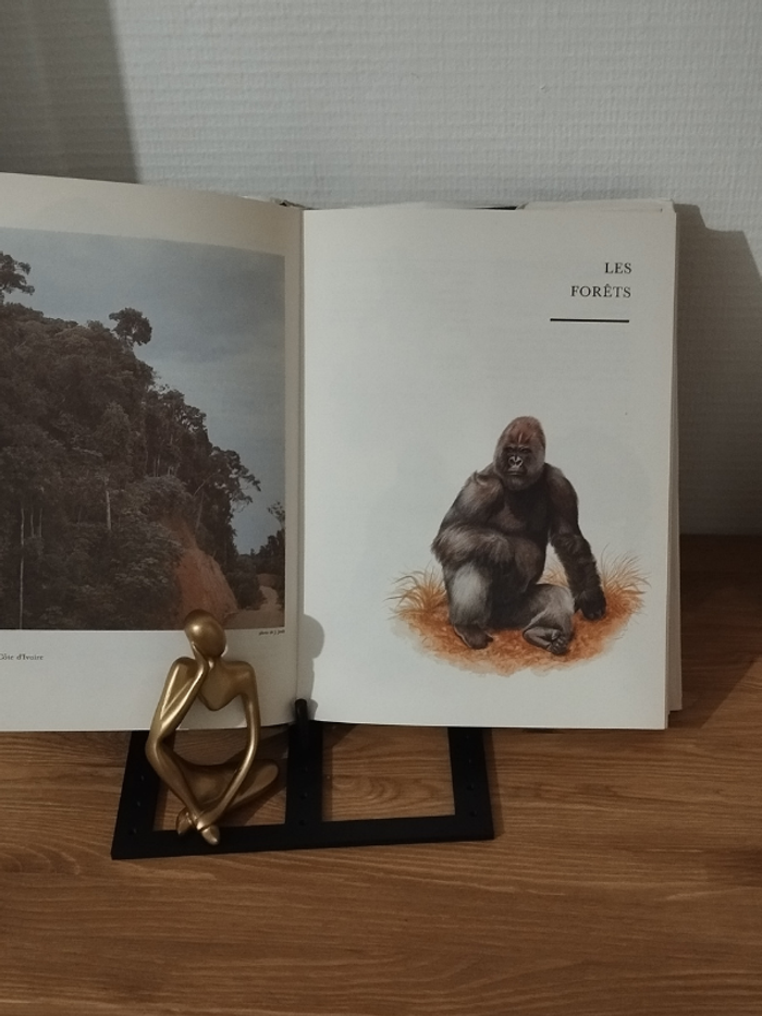 Ouvrage Faune des cinq continents édition Gründ - photo numéro 6