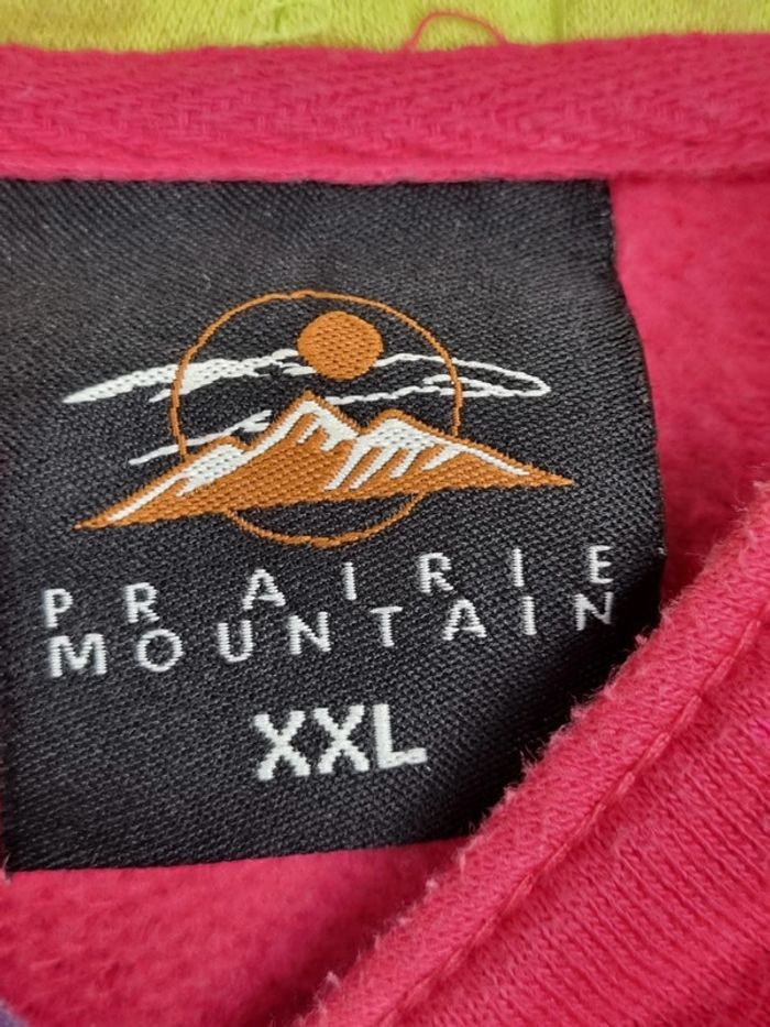 Pull à capuche universitaire Wisconsin rose & jaune – Taille XXL Femme (mesures en photos) - photo numéro 5