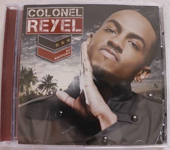 Colonel Reyel, Au rapport