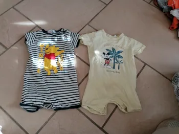 2 body short