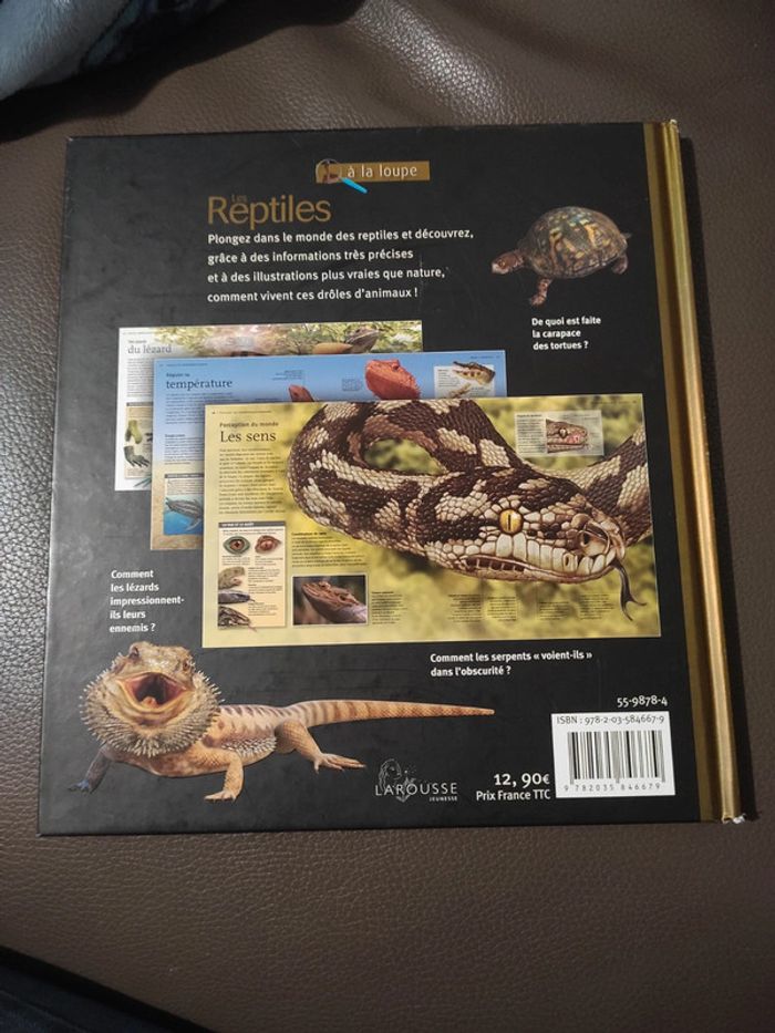 Livre les reptiles à la loupe Larousse - photo numéro 2
