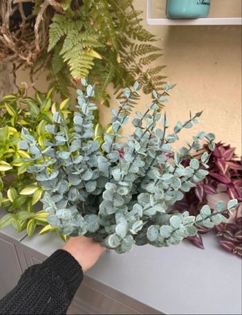 Eucalyptus artificiel