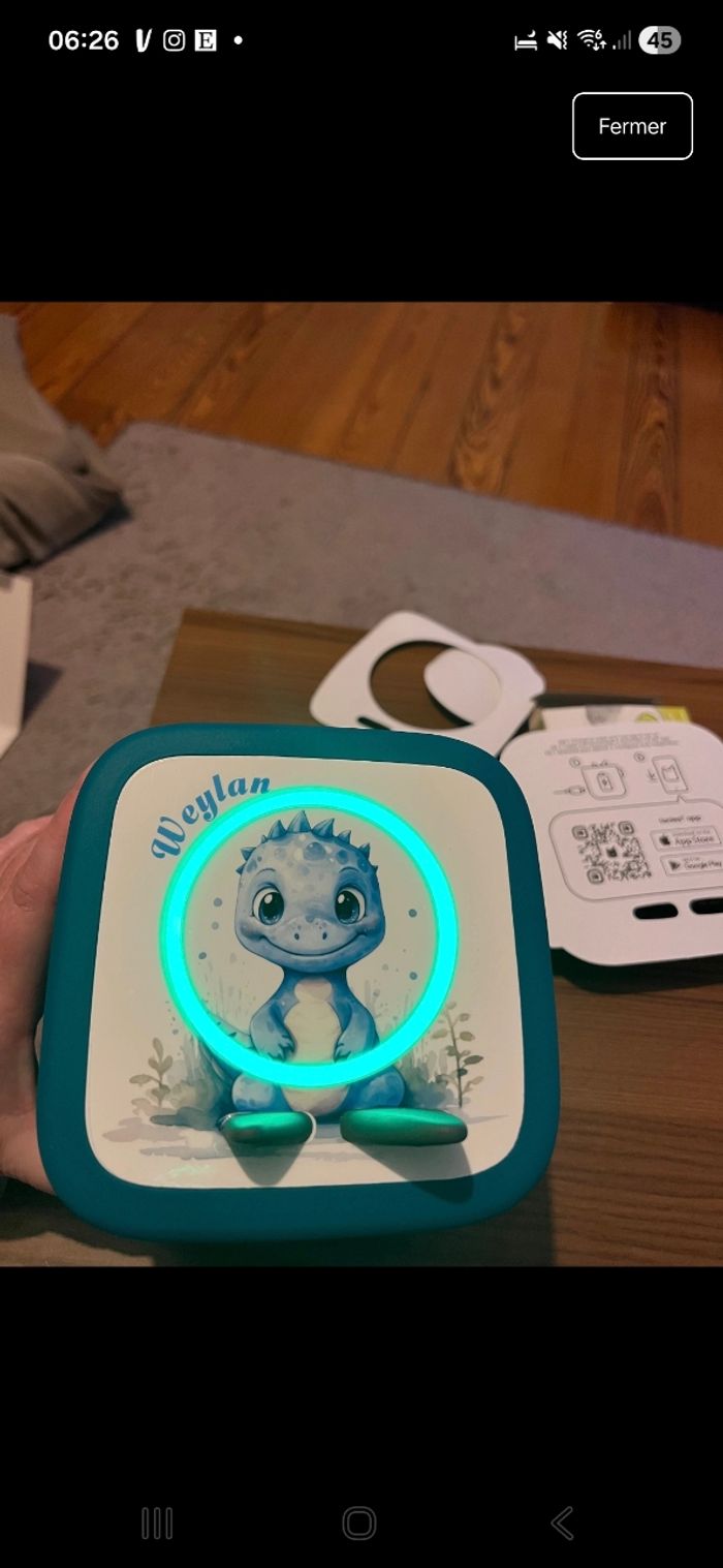 Protection tonies - photo numéro 2