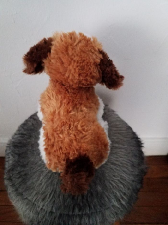 Peluche - photo numéro 3