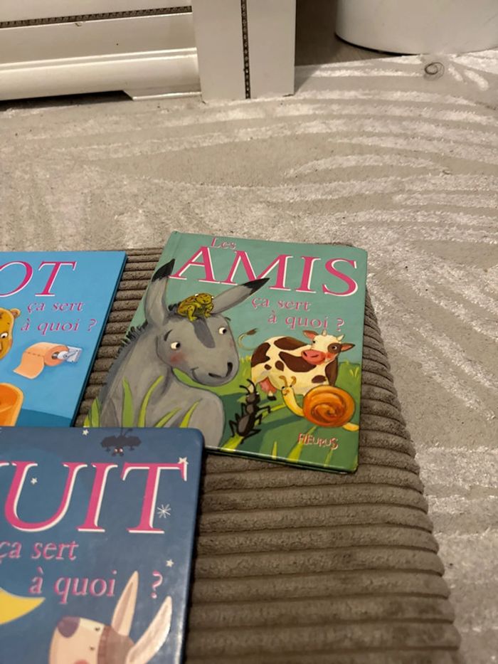 Lot 3 livres a quoi sa sert? - photo numéro 4