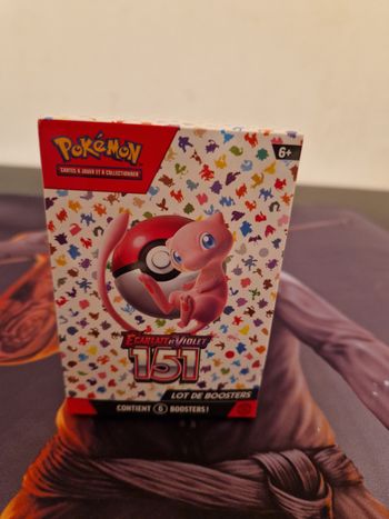 Bundle 151 FR Scellé