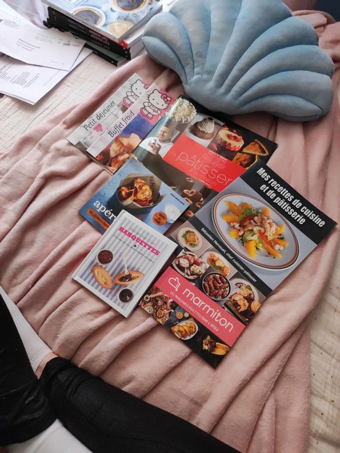 Lot livres de recettes