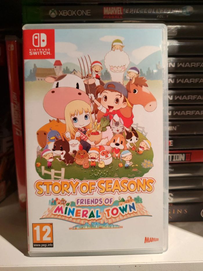 Story Of Seasons Nintendo Switch