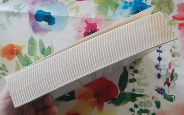 L'appel des engoulevents T3 Des grives aux loups de Claude Michelet Ed. Retrouvées - photo numéro 4