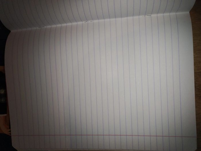 Lot de 3 cahiers - photo numéro 2