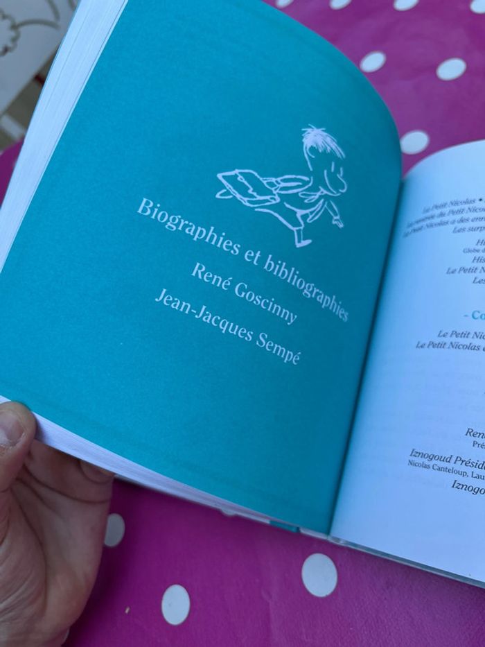 Livre jeunesse - goscinny sempe - Les vacances du petit Nicolas iMav édition - photo numéro 6