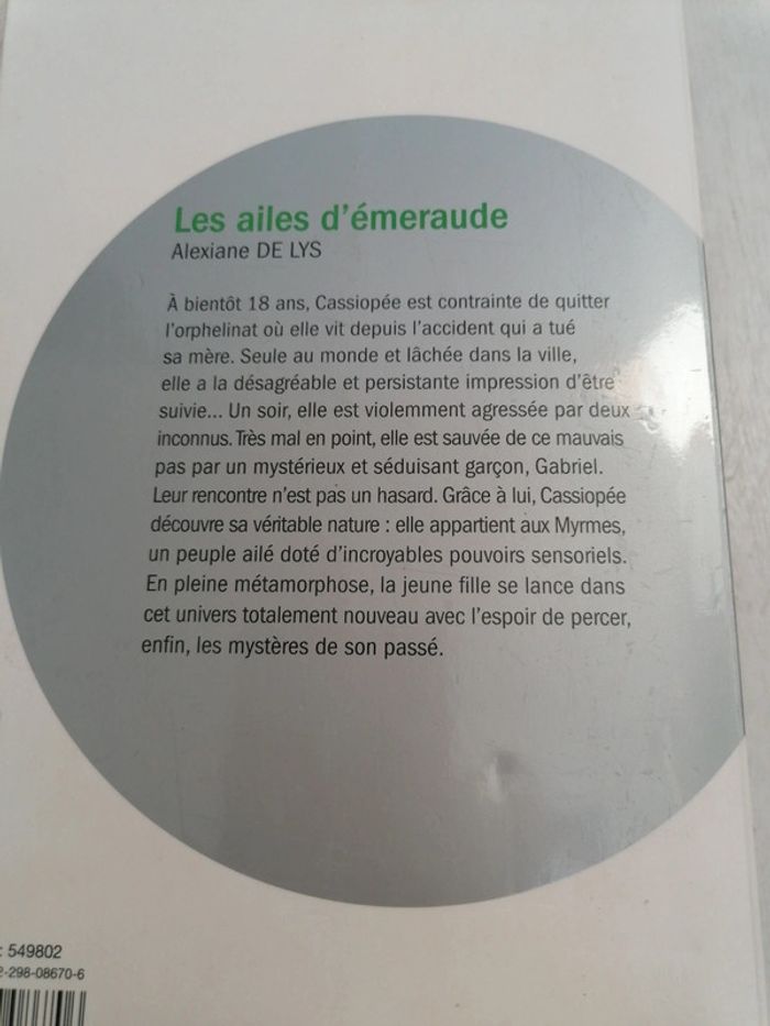 Tome 1 Roman les Ailes d'émeraude - photo numéro 6