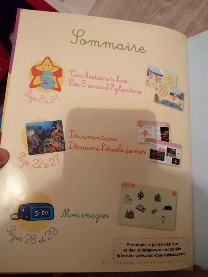Livre Découvre le 5 avec Églantine l'étoile de mer - photo numéro 2