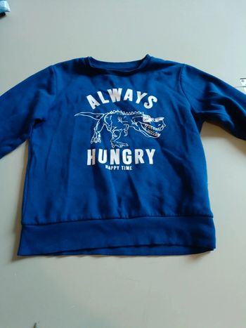 Pull dinosaure taille 10 ans